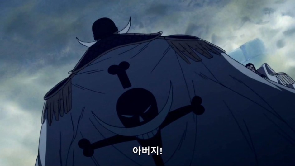 [원피스]이런 나를 사랑해줘서 고마워_37.jpg