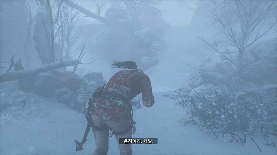 Rise of the Tomb Raider_37.png