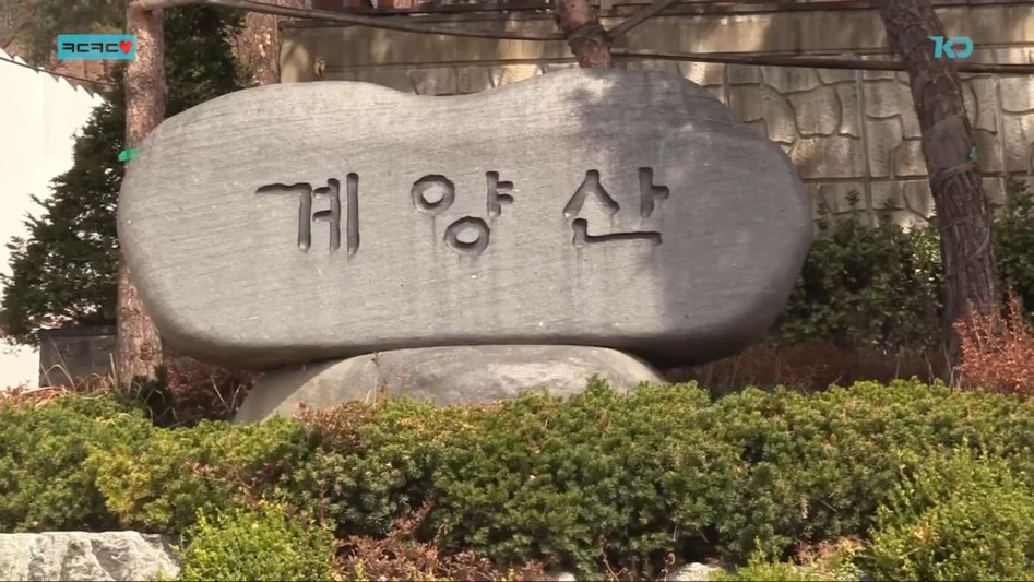 [ㅋㄷㅋㄷ] 콩두몬스터, 계양산에 가다!.mp4_20180411_181714.972.jpg