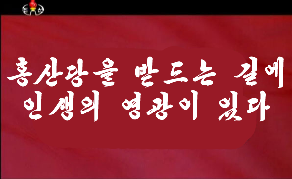 내가 지금까지 만든 레드준표 짤들 퍼레이드_6.png