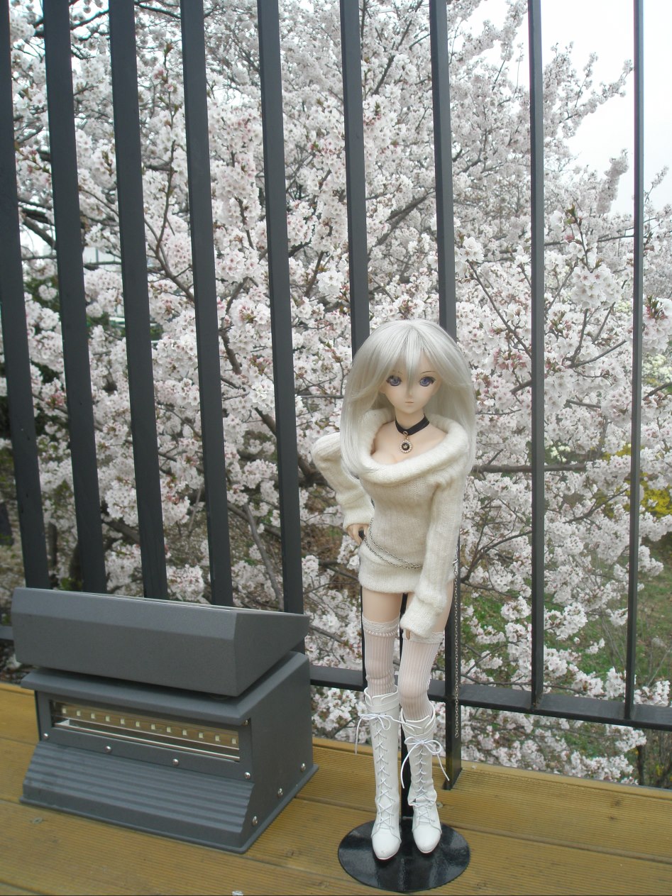 (스압주의)벚꽃 아래서의 아리사...._7.jpg