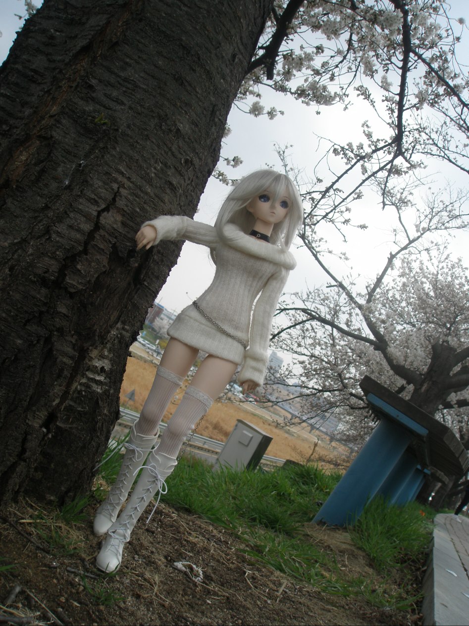 (스압주의)벚꽃 아래서의 아리사...._11.jpg