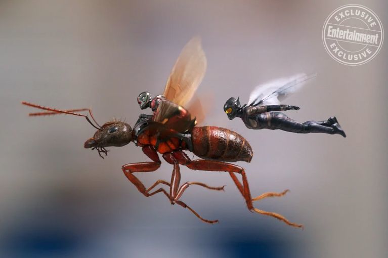 ant-man-and-the-wasp-1103381.jpeg