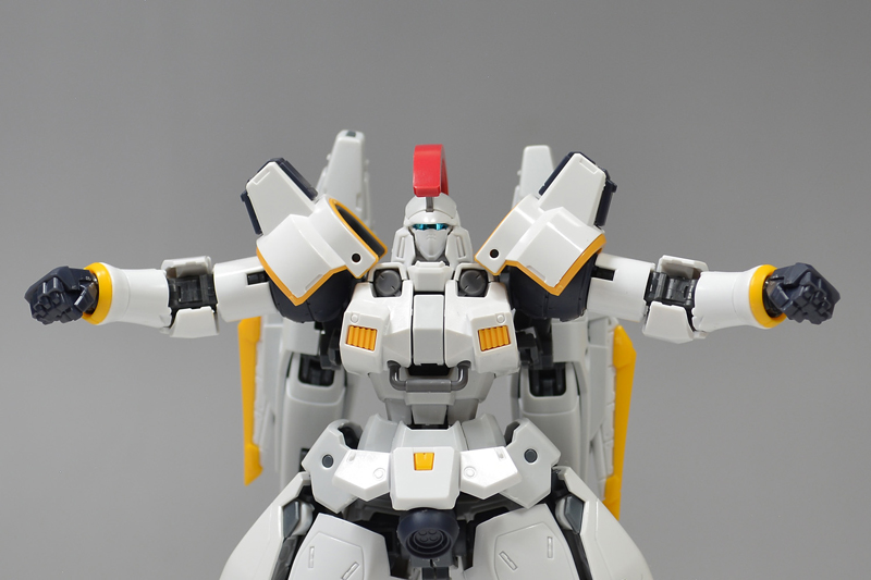 RG 톨기스 EW 해외 리뷰 2_29.jpg