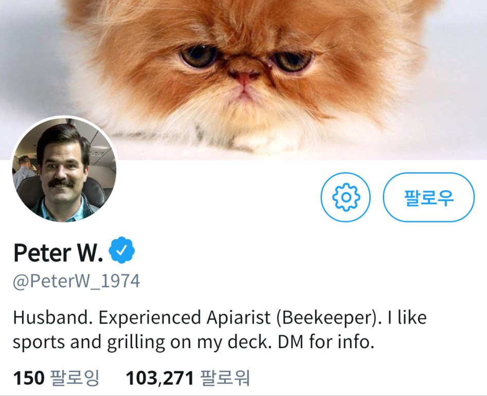 (데드풀)피터란 누구인가_4.png