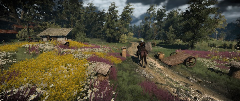 The Witcher 3 Screenshot 2018.05.16 - 23.14.50.16.jpg