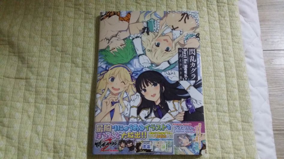 섬란 버스트 리뉴얼 일러스트 북 샀습니다_1.jpg