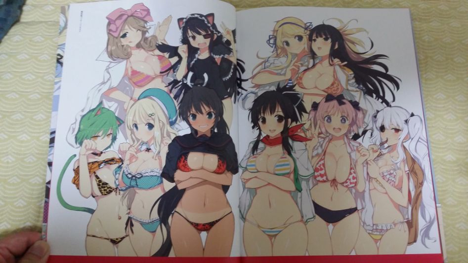 섬란 버스트 리뉴얼 일러스트 북 샀습니다_2.jpg