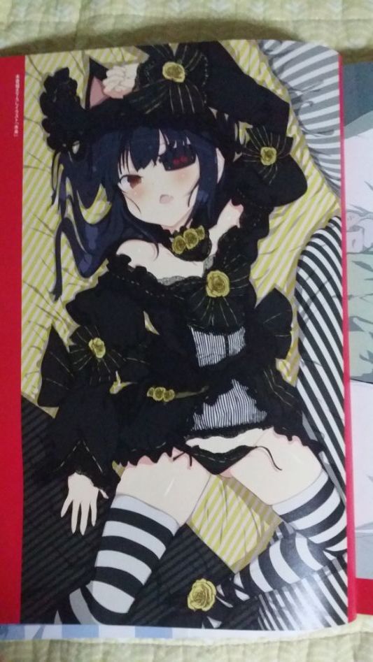 섬란 버스트 리뉴얼 일러스트 북 샀습니다_5.jpg