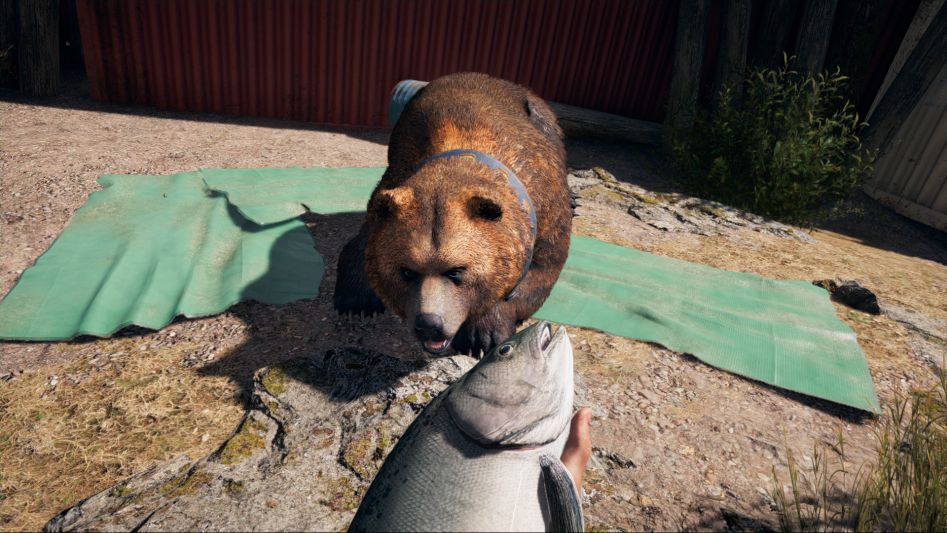 Far Cry 5 Screenshot 2018.06.20 - 04.35.00.45.png