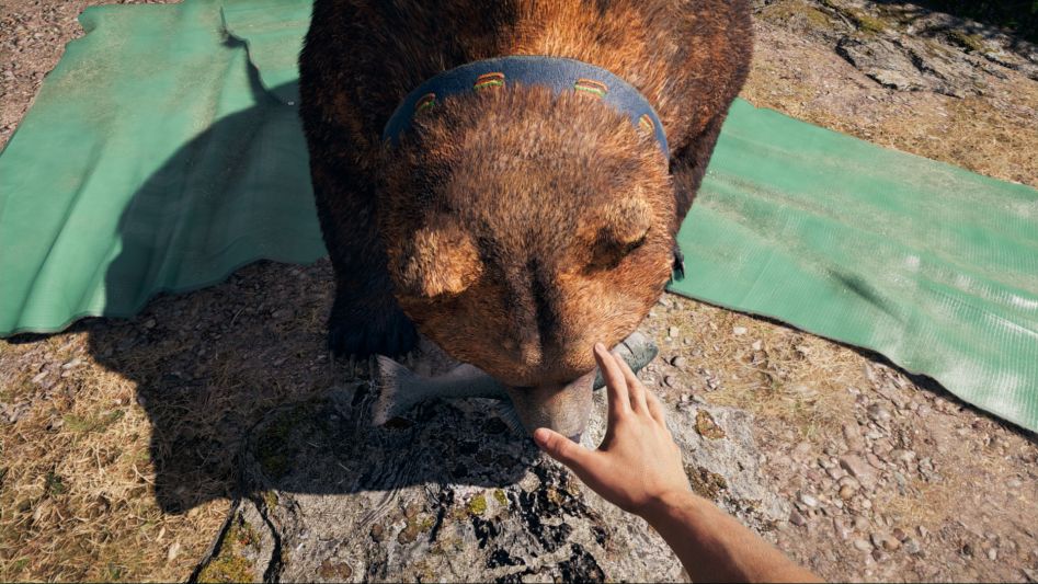Far Cry 5 Screenshot 2018.06.20 - 04.35.10.61.png