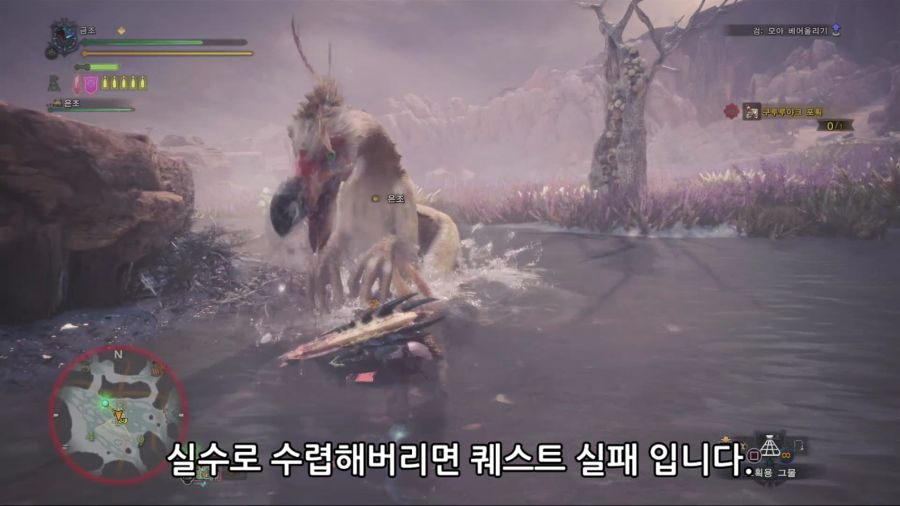 말풍선퀘02_포획_소조 생태 조사.mp4_2856854000.png