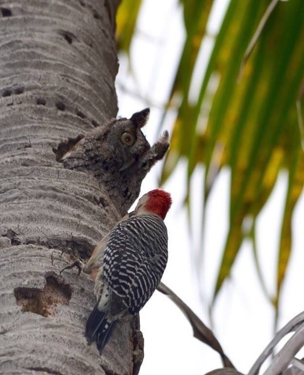 흔한 아파트 층간 소음_1.jpg