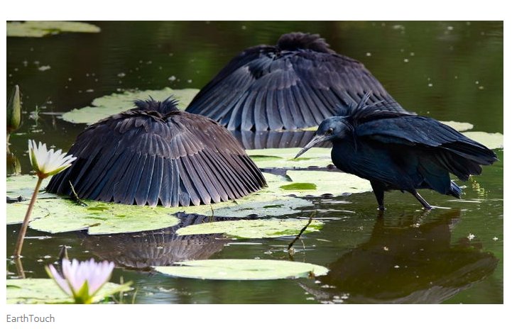 밤이 되었습니다.jpg_2.jpg