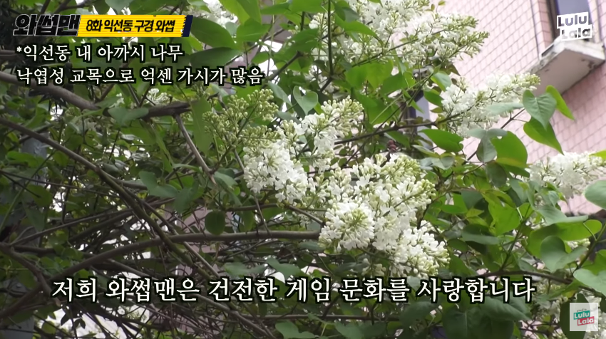 시민과 스트리트파이터2를 하는 god 박준형 ㅋㅋㅋㅋㅋㅋㅋㅋ_31.png