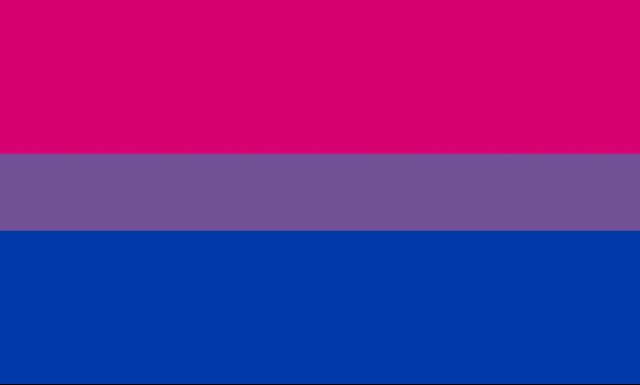 bi__by_pride_flags-d8zu7il.png