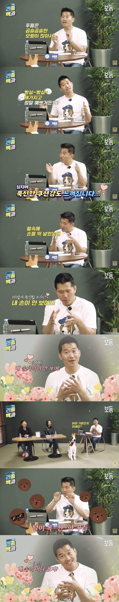 푸들이 귀여운 이유.jpg_1.jpg