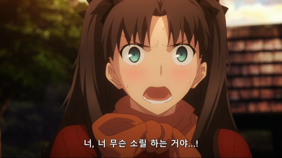 [Salender-Raws] Fate stay night (Unlimited Blade Works) - 16 [BD 1920x1080 x264 FLAC].mkv_20180713_164458.740.jpg