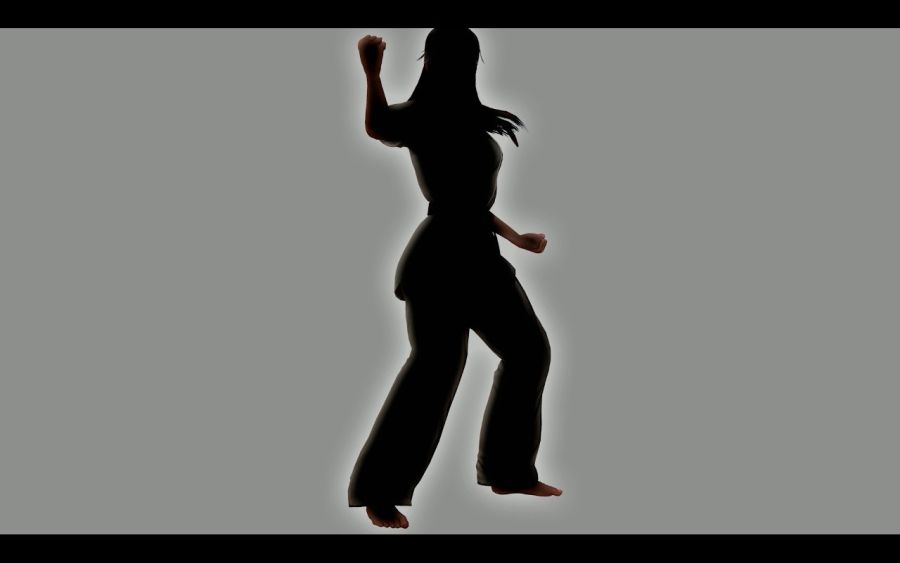 DOA6 캐릭터 공개 예정일 발표_1.jpg