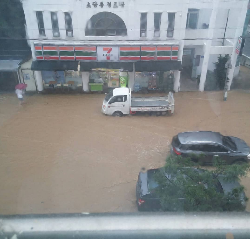 실시간 강릉.jpg_6.png