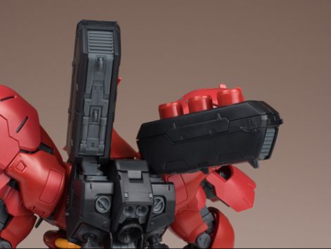 rg_sazabi023.jpg