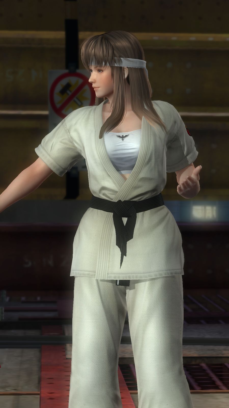 DEAD OR ALIVE 5 Last Round_20180813124426.png