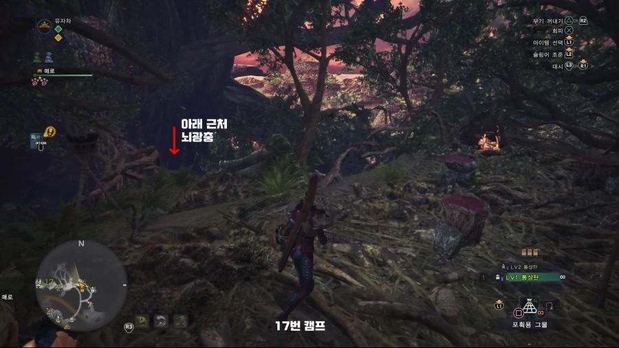 초반에 포획재료 모으기 (고대수의 숲, 개미뚝 황야)_5.jpg