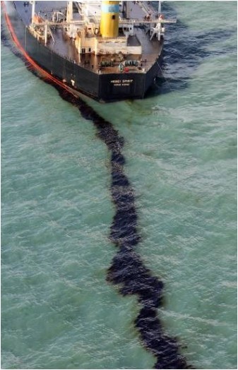 호주 훅 섬 거대올챙이바다괴물의 진실_12.jpg