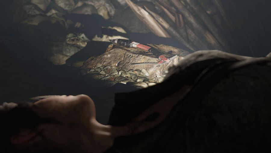 Shadow of the Tomb Raider Screenshot 2018.09.13 - 20.43.54.13.png