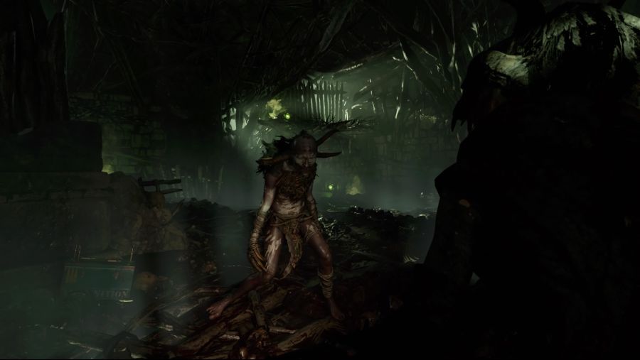 Shadow of the Tomb Raider_264.jpg