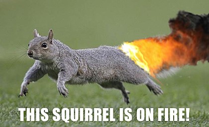 람쥐썬더가 한물 간 이유_2.jpg