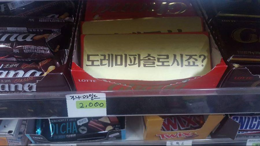 가나초콜릿 근황.jpg_1.jpg