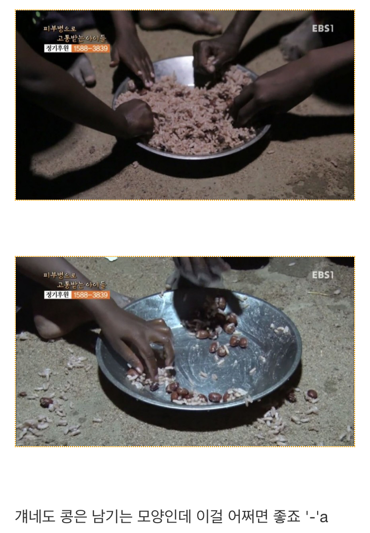 “굶어죽어가는 아프리카 애들도 콩은 안먹는디”_1.jpeg