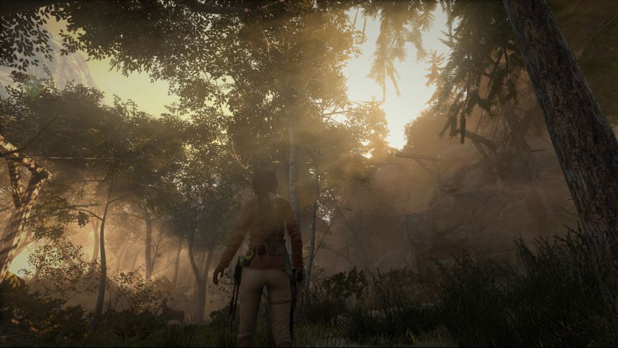 Rise of the Tomb Raider_25.jpg