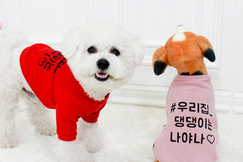 성공한 야민정음.jpg_7.jpg