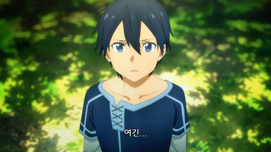 saoalicization02.mp4_000029.855.jpg