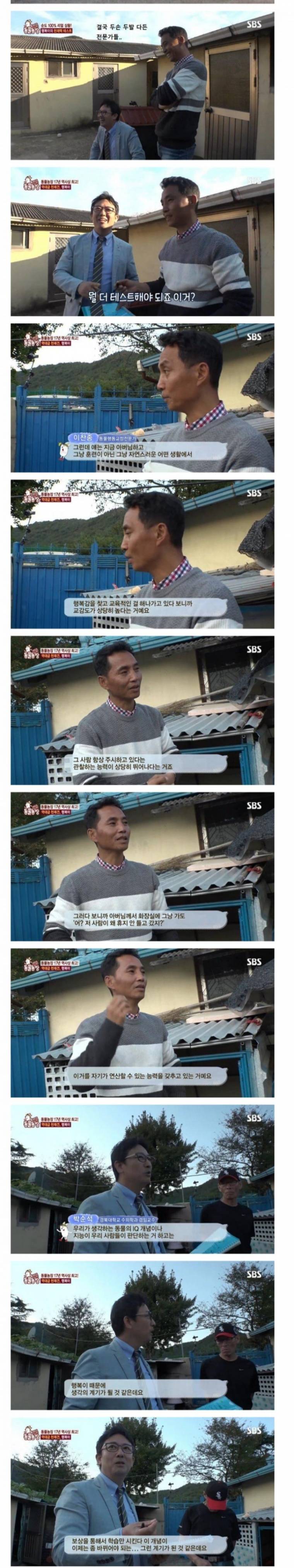 역대급 천재견 .jpg_3.jpg