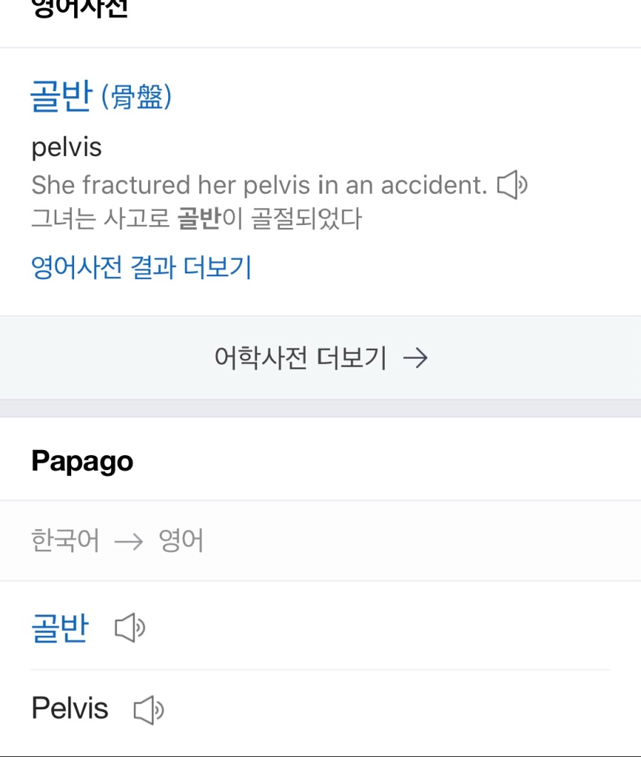 (후방) 골반을 영어로 검색해보았다_1.jpeg