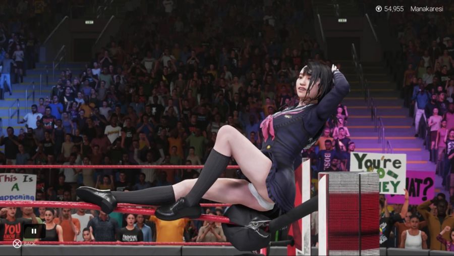 WWE 2K19_20181112045804.jpg