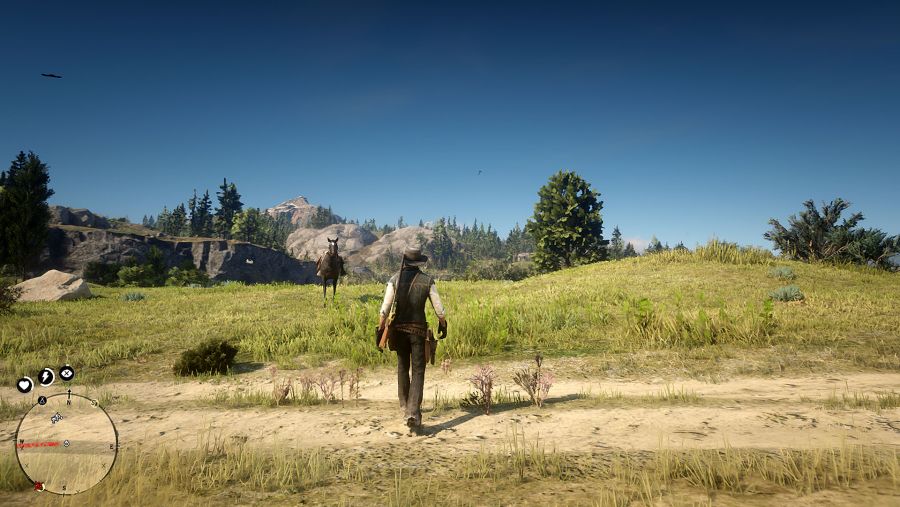 Red Dead Redemption 2_20181111133139.jpg