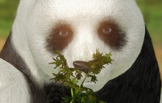 오늘 대기열 9천 뚫고 로아 들어가서 한 일.jpg_6.jpg