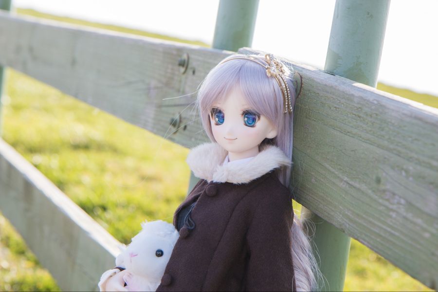 대관령 양떼 목장_2.jpg