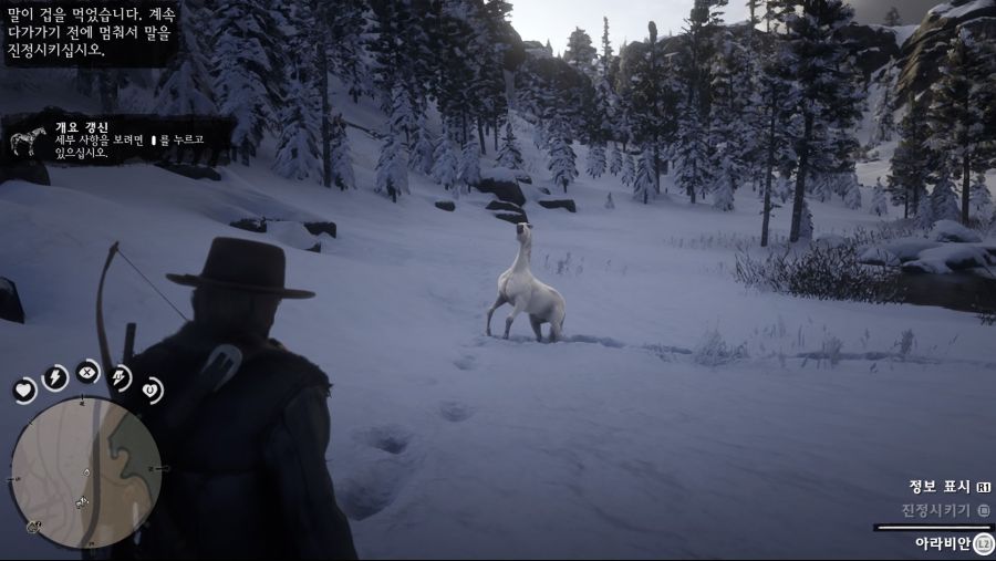 Red Dead Redemption 2_20181112232834.jpg