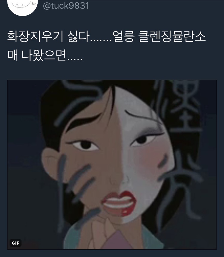 뮬란 화장.PNG