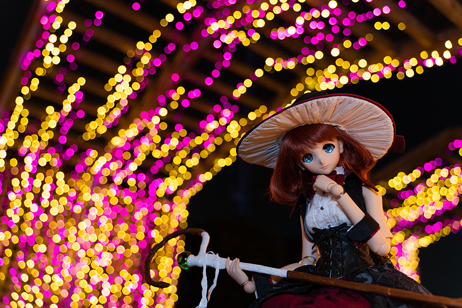 야간 출사, 첫눈 출사_4.png