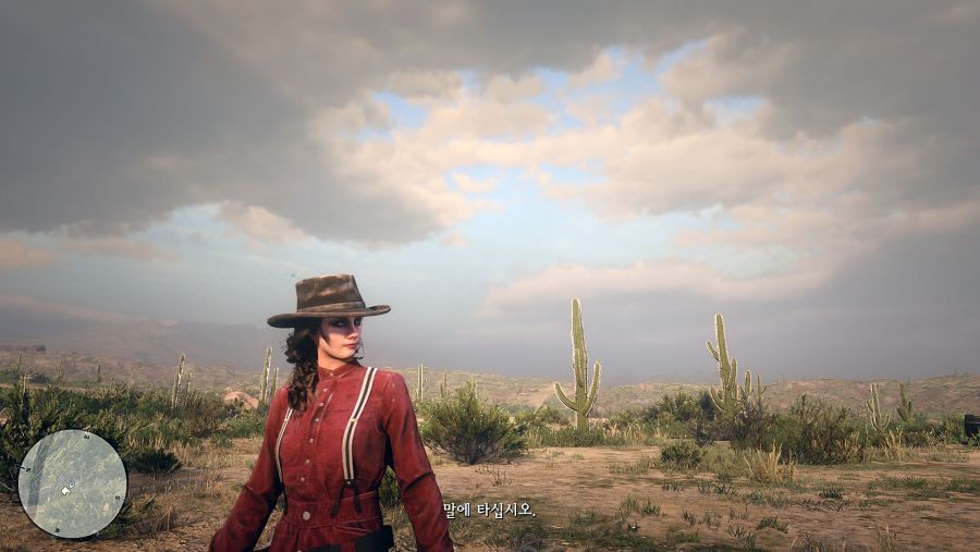 Red Dead Redemption 2_20181129002159.jpg