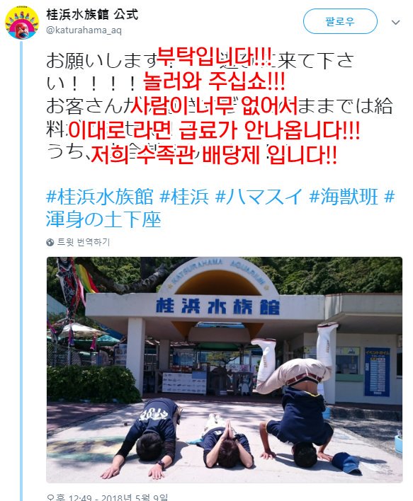 예의가 뭔지 좀 아는 수족관 직원들.japan_1.jpg