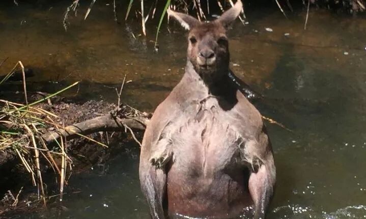 야 이 ㅆㅂ 계곡 니 혼자 전세냈_3.jpg