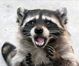 [블러디 버니] 에피소드 1~2 (잔인 주의)_14.jpg