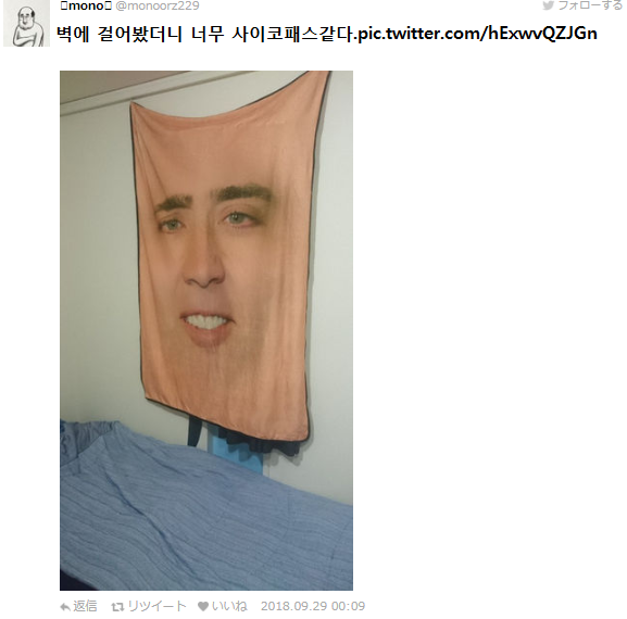 공포의 니콜라스케이지 담요2.png